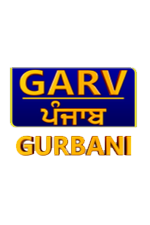 Punjabi Channel 7